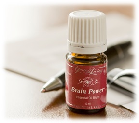 Blog - Brain Power