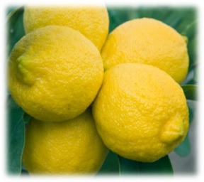 Blog - Lemon