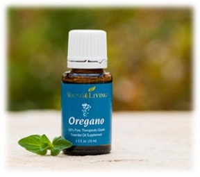 blog-oregano